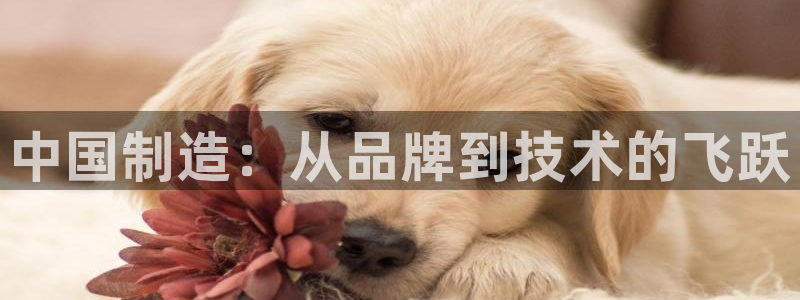 恒行2乃5O6917：中国制造：从品牌到技术的飞跃