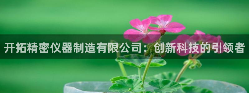 恒行2王74OOO5：开拓精密仪器制造有限公司：创新科技的引