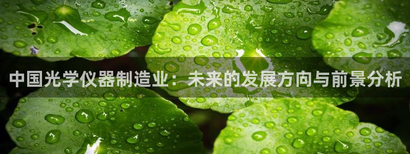 恒行娱乐河沂74ooo5程：中国光学仪器制造业：未来的发展方