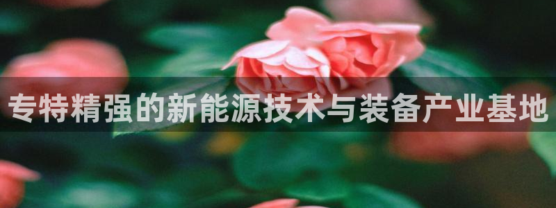 恒行5娱乐：专特精强的新能源技术与装备产业基地