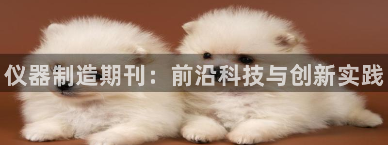 恒行2王74OOO5：仪器制造期刊：前沿科技与创新实践