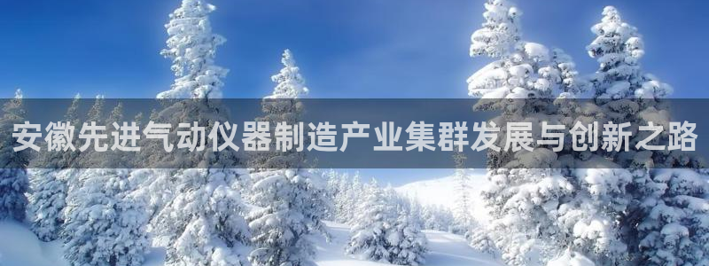 恒行娱乐度74ooo5聘霖：安徽先进气动仪器制造产业集群发展