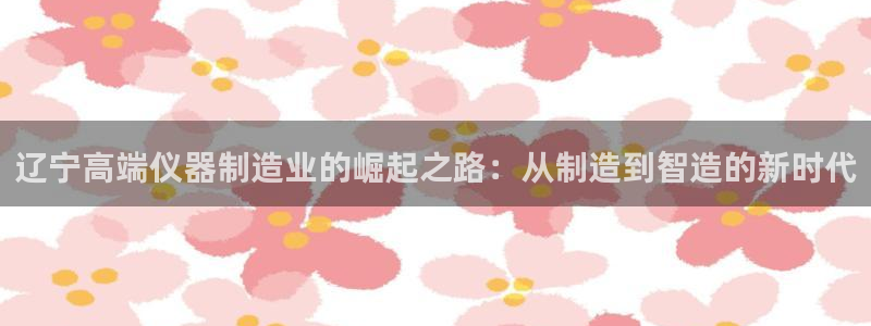 恒行2朱74OOO5：辽宁高端仪器制造业的崛起之路：从制造到