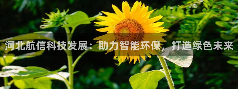 恒行娱乐景74ooo5诿抢：河北航信科技发展：助力智能环保，