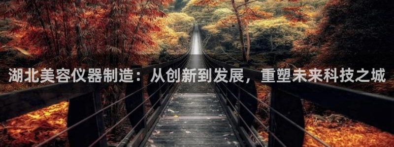 恒行5娱乐：湖北美容仪器制造：从创新到发展，重塑未来科技之城