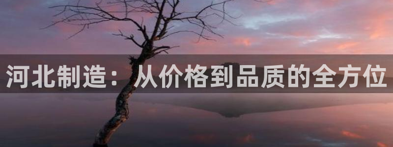 恒行2乃5O6917：河北制造：从价格到品质的全方位