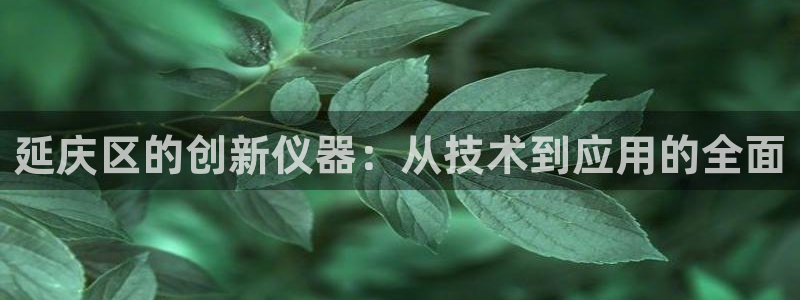 恒行娱乐蒋74OOO5：延庆区的创新仪器：从技术到应用的全面