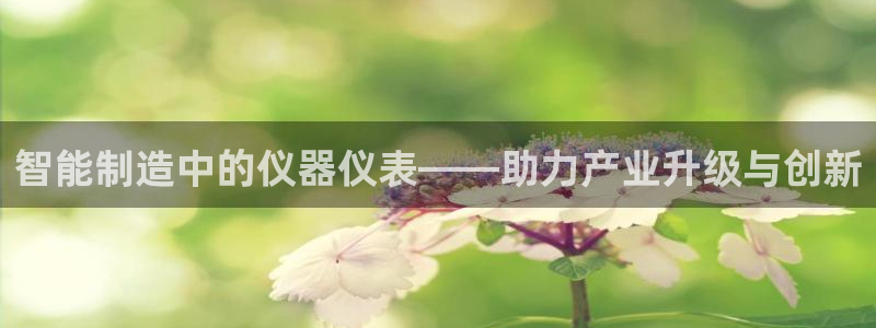 恒行娱乐鸟74ooo5判官：智能制造中的仪器仪表——助力产业