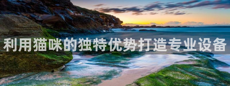 恒行娱乐热74ooo5主宰：利用猫咪的独特优势打造专业设备
