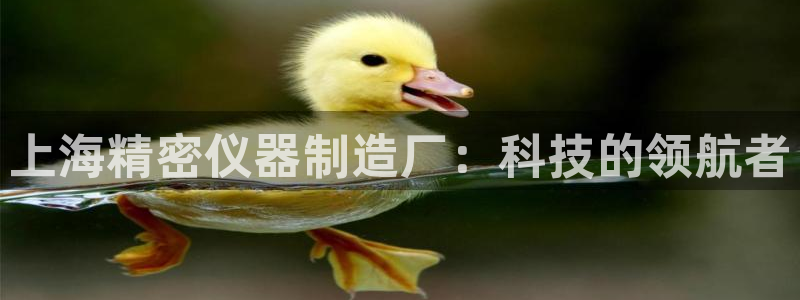 恒行娱乐老板推荐5ll533主管：上海精密仪器制造厂：科技的