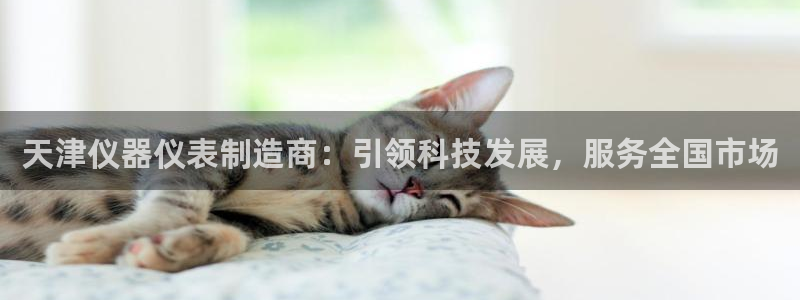 恒行娱乐吕74OOO5：天津仪器仪表制造商：引领科技发展，服