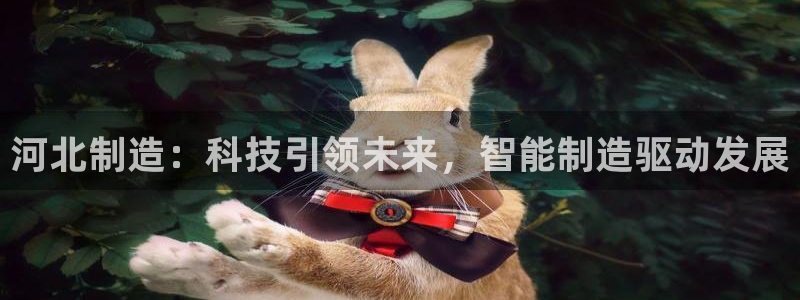 恒行开户全2O5o5O：河北制造：科技引领未来，智能制造驱动