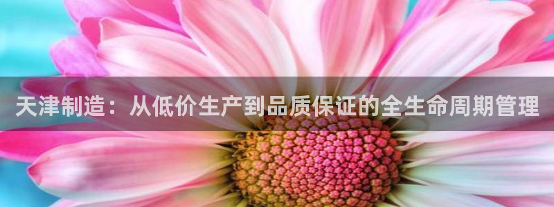 恒行2许74OOO5：天津制造：从低价生产到品质保证的全生命