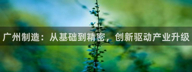 恒行2许74OOO5：广州制造：从基础到精密，创新驱动产业升