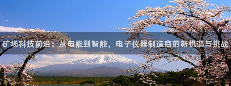 恒行2韩74OOO5：矿场科技前沿：从电能到智能，电子仪器制
