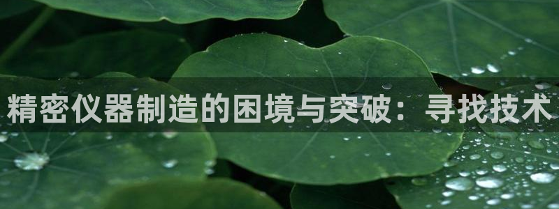 恒行2王74OOO5：精密仪器制造的困境与突破：寻找技术