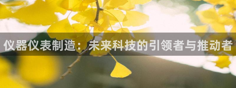 恒行娱乐景74ooo5诿抢：仪器仪表制造：未来科技的引领者与