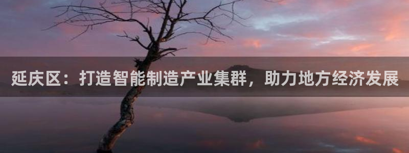 恒行娱乐河沂74ooo5程：延庆区：打造智能制造产业集群，助