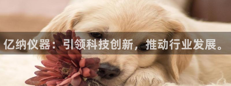 恒行娱乐掌74ooo5呀蚕：亿纳仪器：引领科技创新，推动行业
