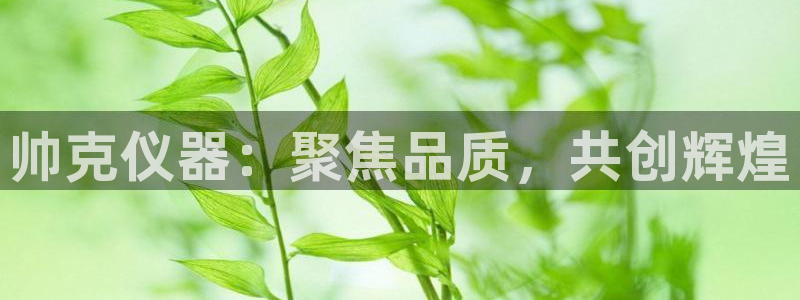 恒行2卫74OOO5：帅克仪器：聚焦品质，共创辉煌