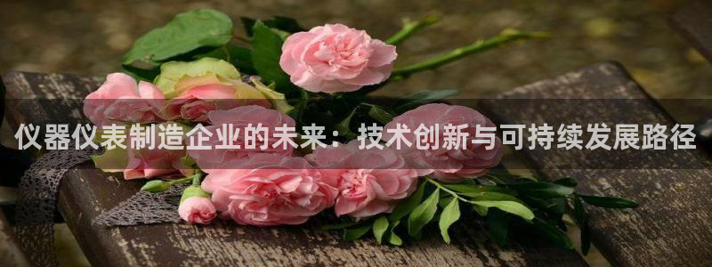 恒行2韩74OOO5：仪器仪表制造企业的未来：技术创新与可持