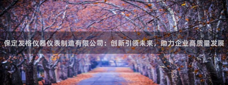 恒行娱乐景74ooo5诿抢：保定发格仪器仪表制造有限公司：创