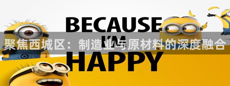 恒行娱乐5ll533主管优雅：聚焦西城区：制造业与原材料的深