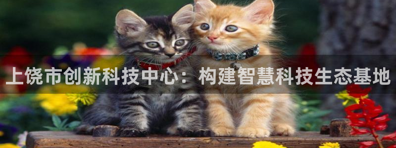 恒行招商老大诚挚 6ll5l：上饶市创新科技中心：构建智慧科