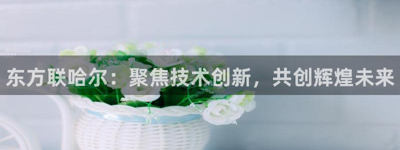 恒行登录就搜6ll5l：东方联哈尔：聚焦技术创新，共创辉煌未