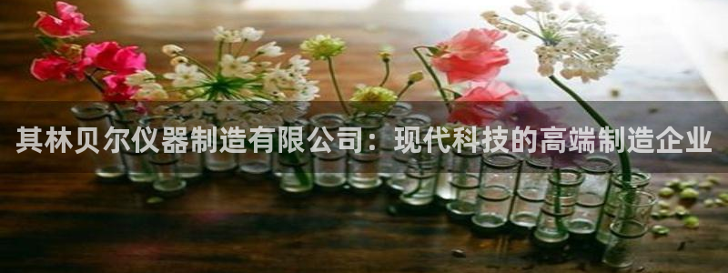 恒行2杨74OOO5：其林贝尔仪器制造有限公司：现代科技的高