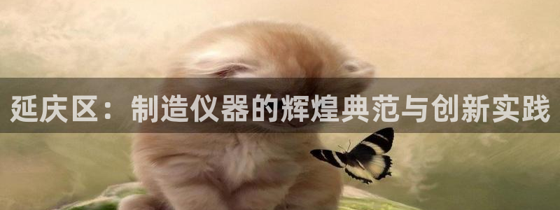 恒行主管总代6ll5l周至：延庆区：制造仪器的辉煌典范与创新