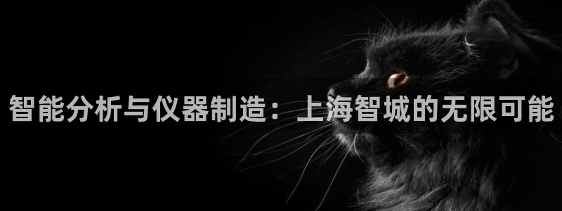 恒行招商老大诚挚 6ll5l：智能分析与仪器制造：上海智城的