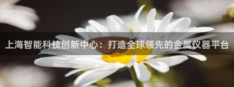 恒行娱乐吕74OOO5：上海智能科技创新中心：打造全球领先的