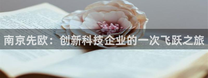 恒行2吕74OOO5：南京先欧：创新科技企业的一次飞跃之旅