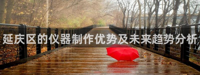 恒行娱乐5ll533主管正直：延庆区的仪器制作优势及未来趋势
