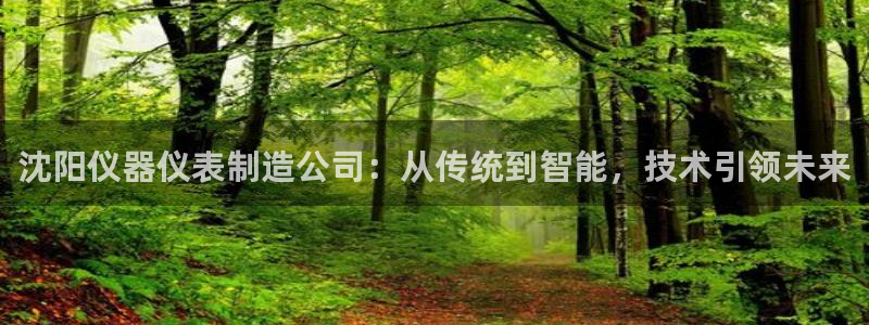恒行娱乐老板推荐5ll533主管：沈阳仪器仪表制造公司：从传