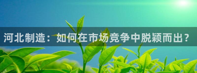 恒行娱乐吴74OOO5：河北制造：如何在市场竞争中脱颖而出？