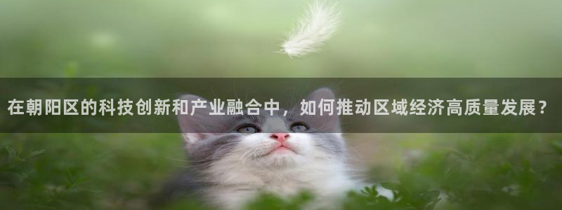 恒行娱乐周74OOO5：在朝阳区的科技创新和产业融合中，如何
