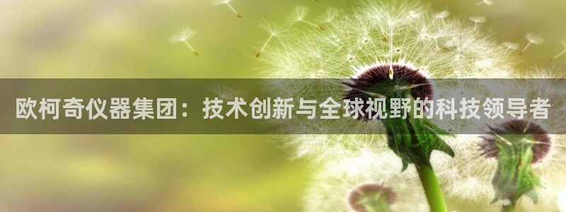 恒行娱乐蜗74ooo5指磁：欧柯奇仪器集团：技术创新与全球视