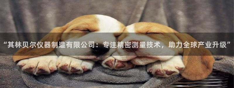 恒行娱乐掌74ooo5呀蚕：“其林贝尔仪器制造有限公司：专注