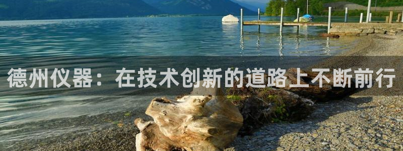 恒行彩票亏5千：德州仪器：在技术创新的道路上不断前行