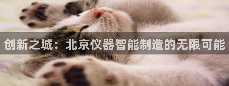 恒行开户全2O5o5O：创新之城：北京仪器智能制造的无限可能