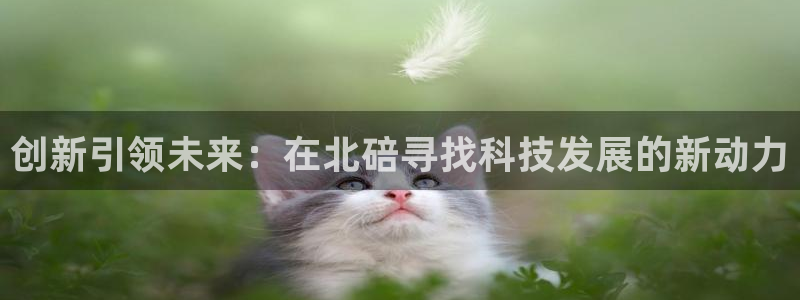 恒行2下74OO5：创新引领未来：在北碚寻找科技发展的新动力