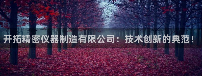 恒行2地74OOO5：开拓精密仪器制造有限公司：技术创新的典