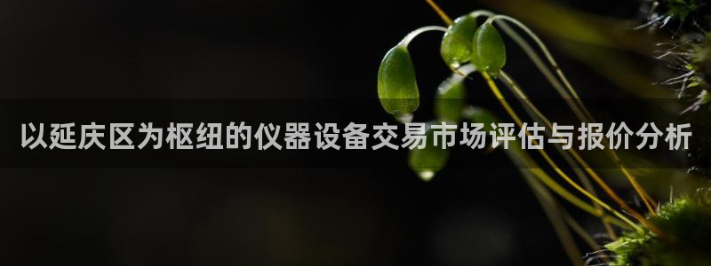 恒行娱乐蒋74OOO5：以延庆区为枢纽的仪器设备交易市场评估