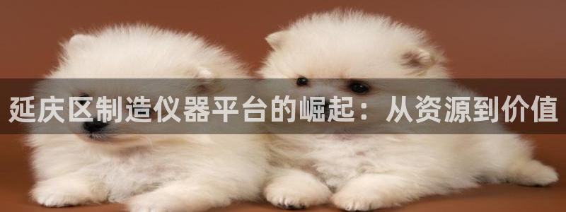恒行登录就搜6ll5l：延庆区制造仪器平台的崛起：从资源到价