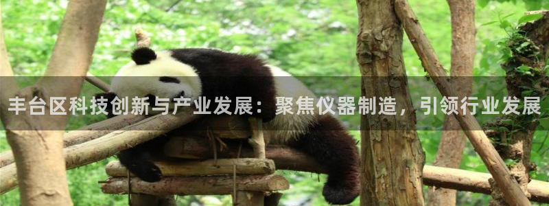 恒行娱乐周74OOO5：丰台区科技创新与产业发展：聚焦仪器制