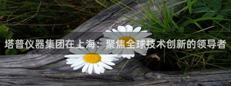 恒行主管总代6ll5l周至：塔普仪器集团在上海：聚焦全球技术