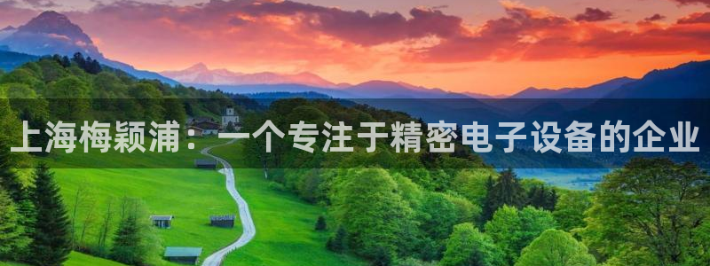恒行登录老大6ll5l典型：上海梅颖浦：一个专注于精密电子设