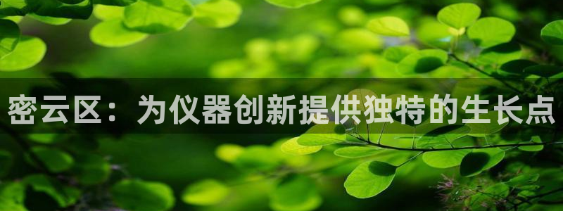 恒行娱乐景74ooo5诿抢：密云区：为仪器创新提供独特的生长